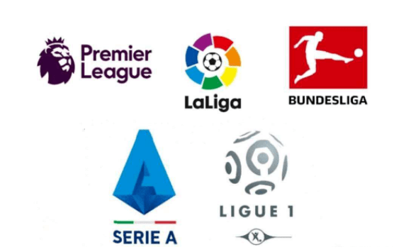 进行了科学 进行了科学